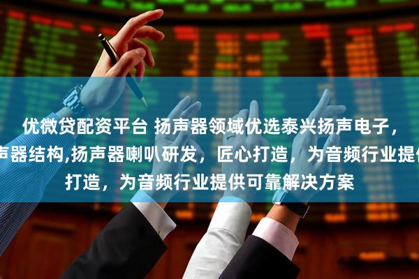 优微贷配资平台 扬声器领域优选泰兴扬声电子，专注扬声器,扬声器结构,扬声器喇叭研发，匠心打造，为音频行业提供可靠解决方案