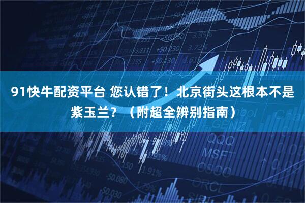 91快牛配资平台 您认错了！北京街头这根本不是紫玉兰？（附超全辨别指南）